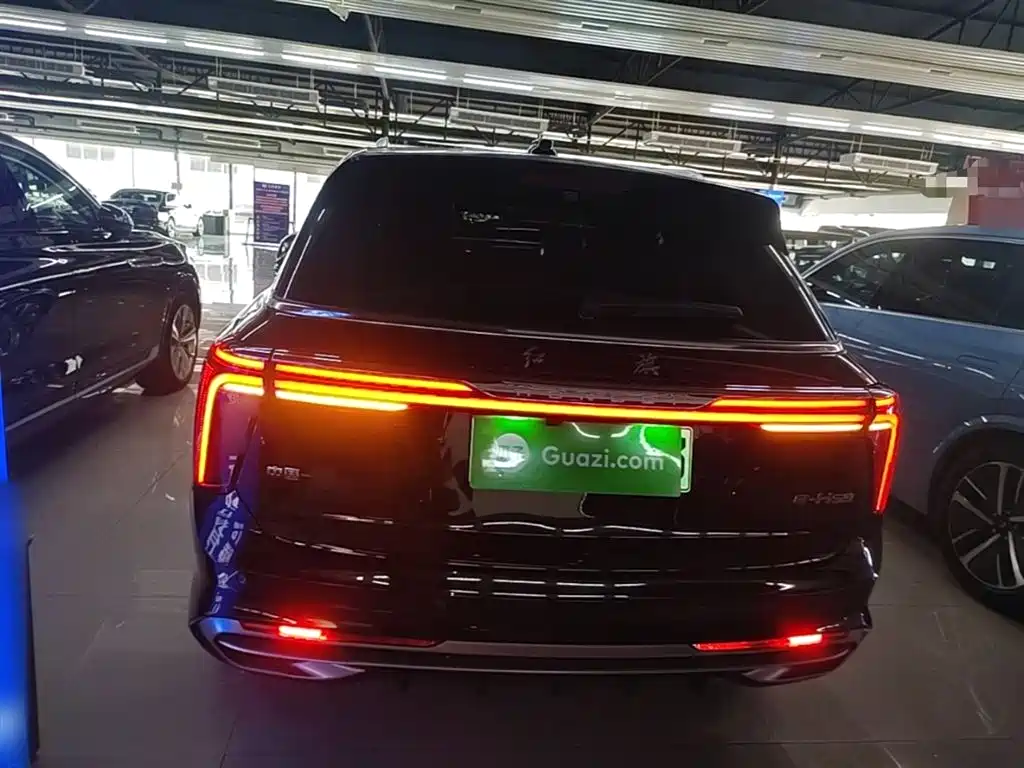 Hongqi E-HS9 2022 660km Qi Chang Edition (6-seater) фото 6