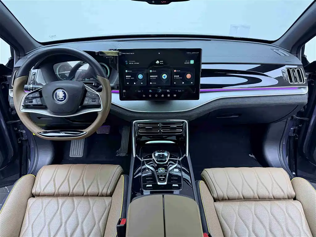 BYD Tang New Energy 2021 DM-i 112KM Honor фото 12