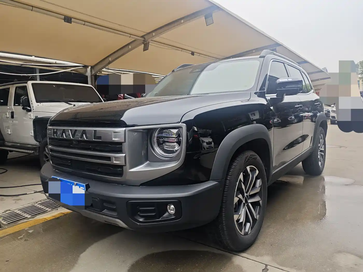 Haval Big Dog 2024 1.5T DCT Border Collie Edition