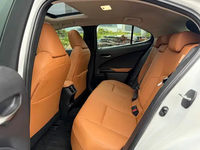Lexus UX Electric 2020 300e Pure Yue Edition — фото 5