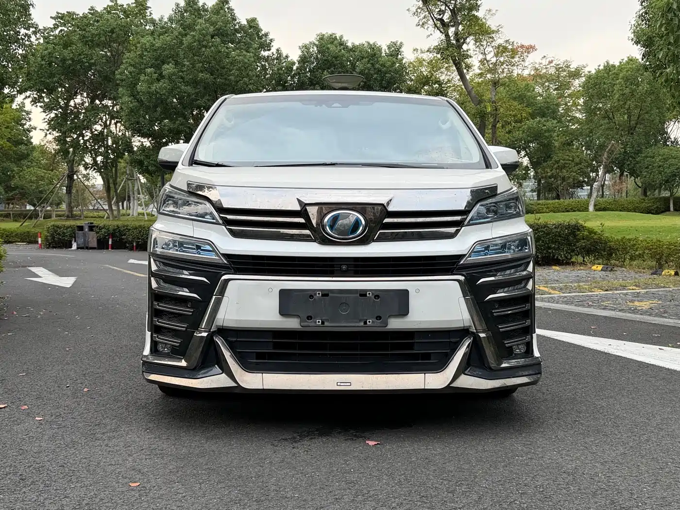 Toyota Vellfire 2021 2020 Twin Engine 2.5L HV Premium Edition