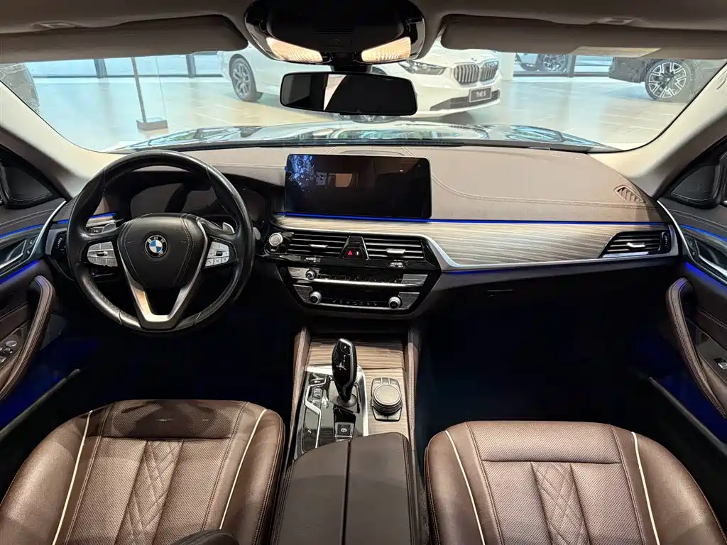 BMW 5 Series 2021 530Li Leading Luxury Package фото 4