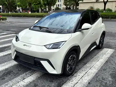 BYD Seagull