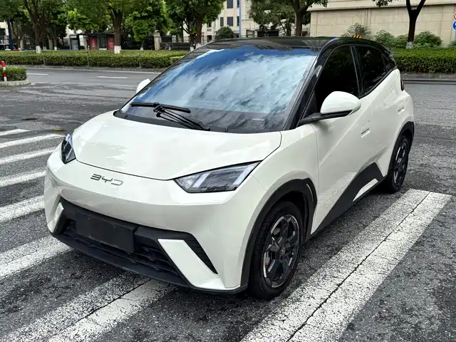 BYD Seagull Свобода