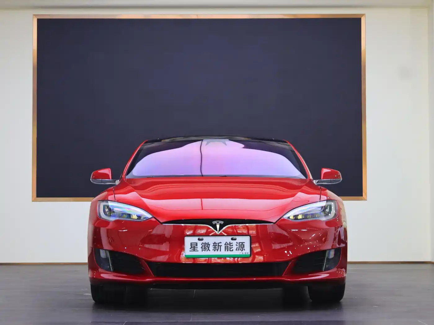 TESLA MODEL S