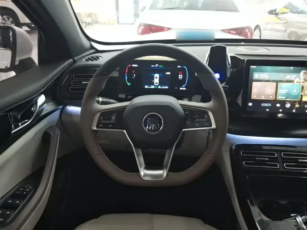 BYD Qin PLUS 2023 Champion Edition DM-i 55KM Leading фото 11