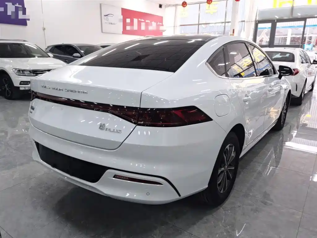 BYD Qin PLUS 2023 Champion Edition DM-i 55KM Leading фото 7