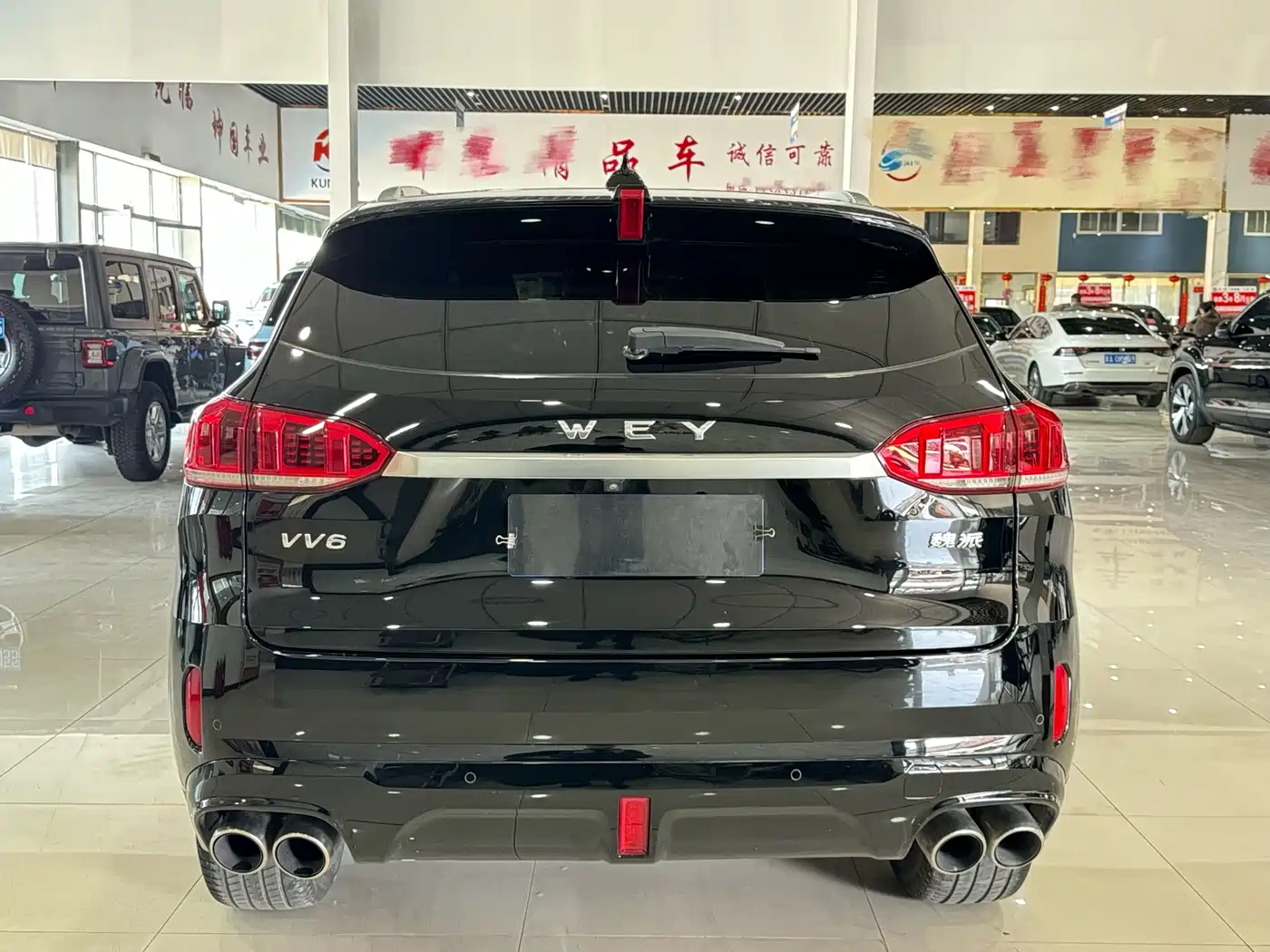 WEI PAI WEI BRAND VV6