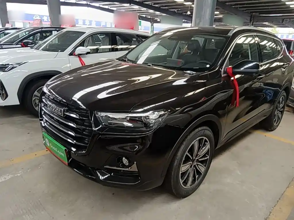 Haval H6 2025 1.5T National Trend Champion Edition