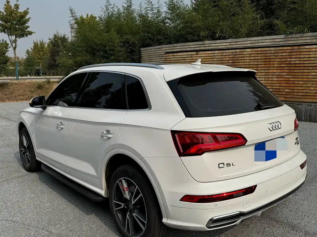Audi Q5L 2018 40 TFSI Prestige Progressive (China V) фото 6