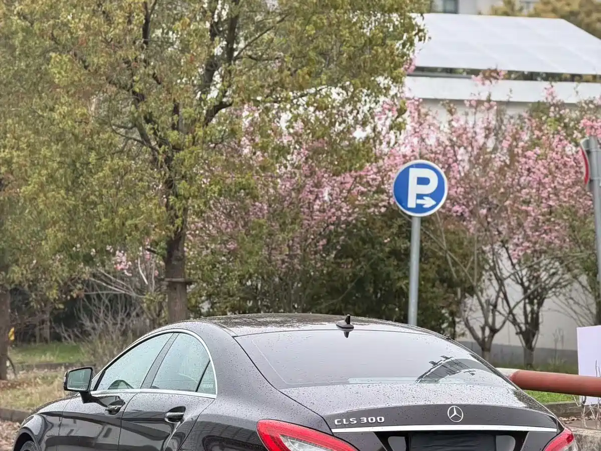 Mercedes-Benz CLS 2012 CLS 300 CGI фото 3