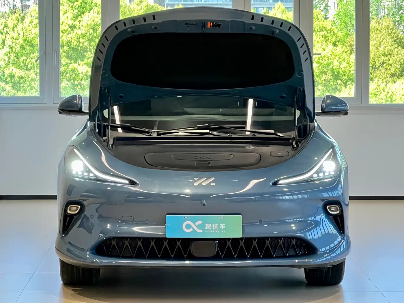 ZHIJI AUTOMOBILE ZHIJI LS6