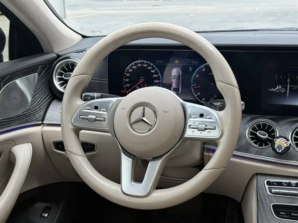 Mercedes-Benz CLS 2020 CLS 300 Luxury фото 22
