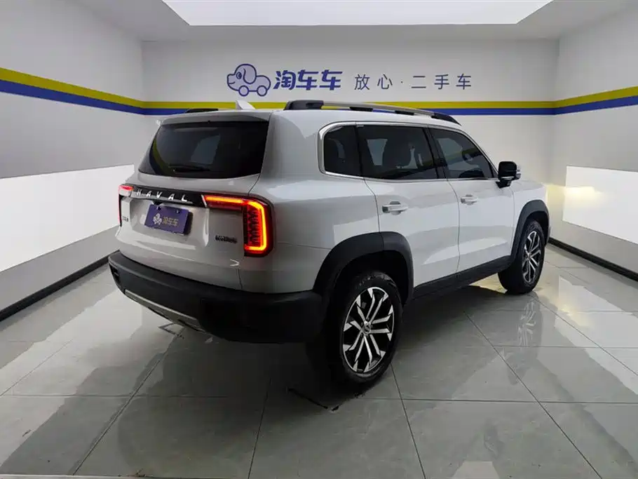 Haval Big Dog 2021 1.5T DCT 2WD Border Collie Edition фото 3