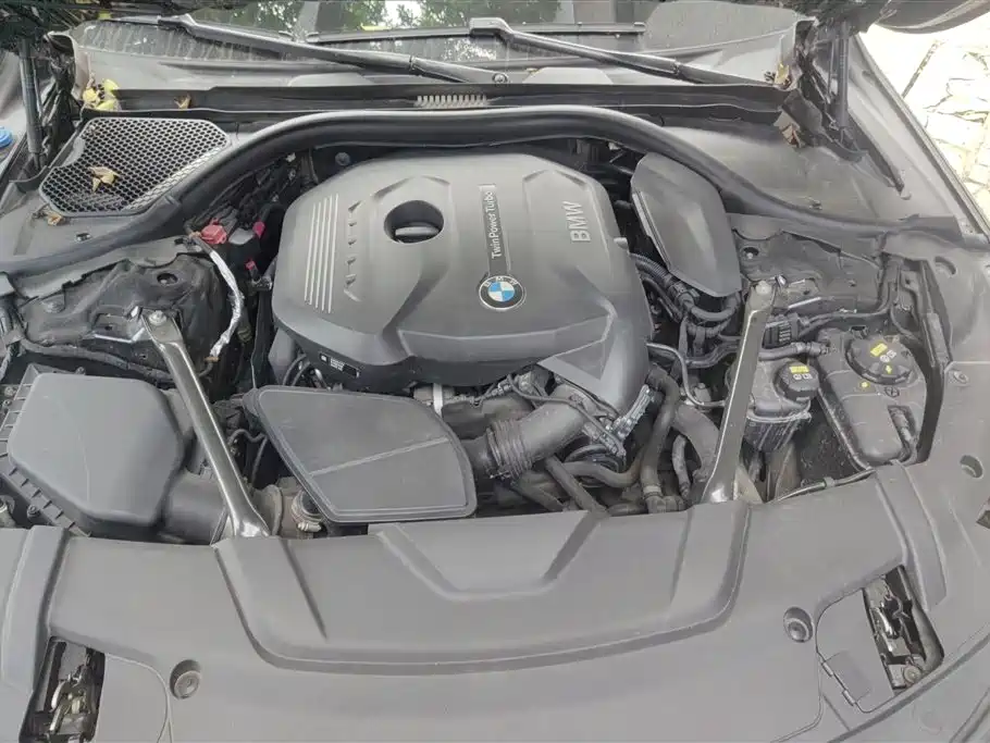 BMW 7 Series 2018 730Li Leading Type M Sport Package фото 10