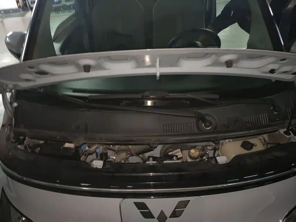Wuling Motors Wuling Air ev 2024 2023 Model 4-Seater Standard Edition