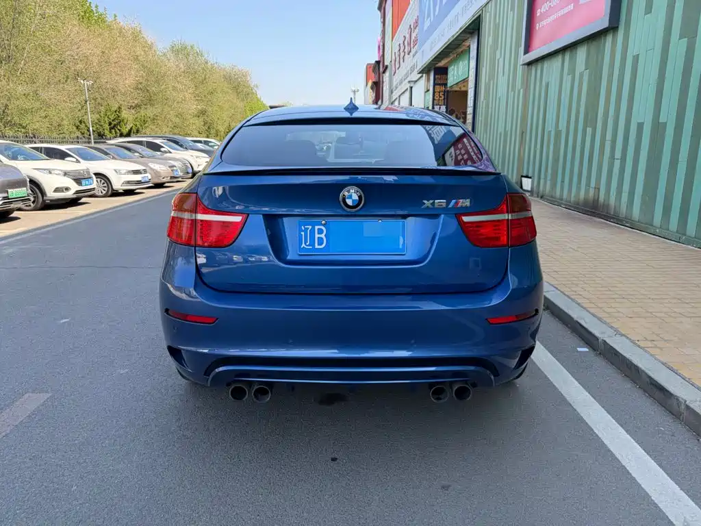 BMW X6 M 2010 2010 X6 M