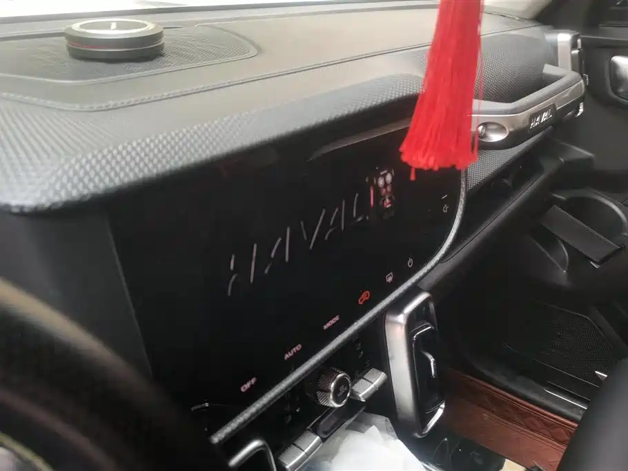 Haval Big Dog 2021 2.0T DCT AWD Howling Celestial Dog Edition фото 13