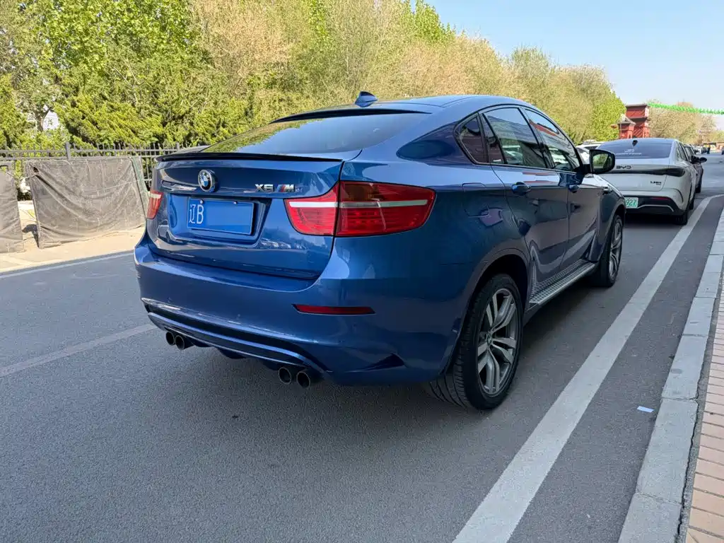 BMW X6 M 2010 2010 X6 M