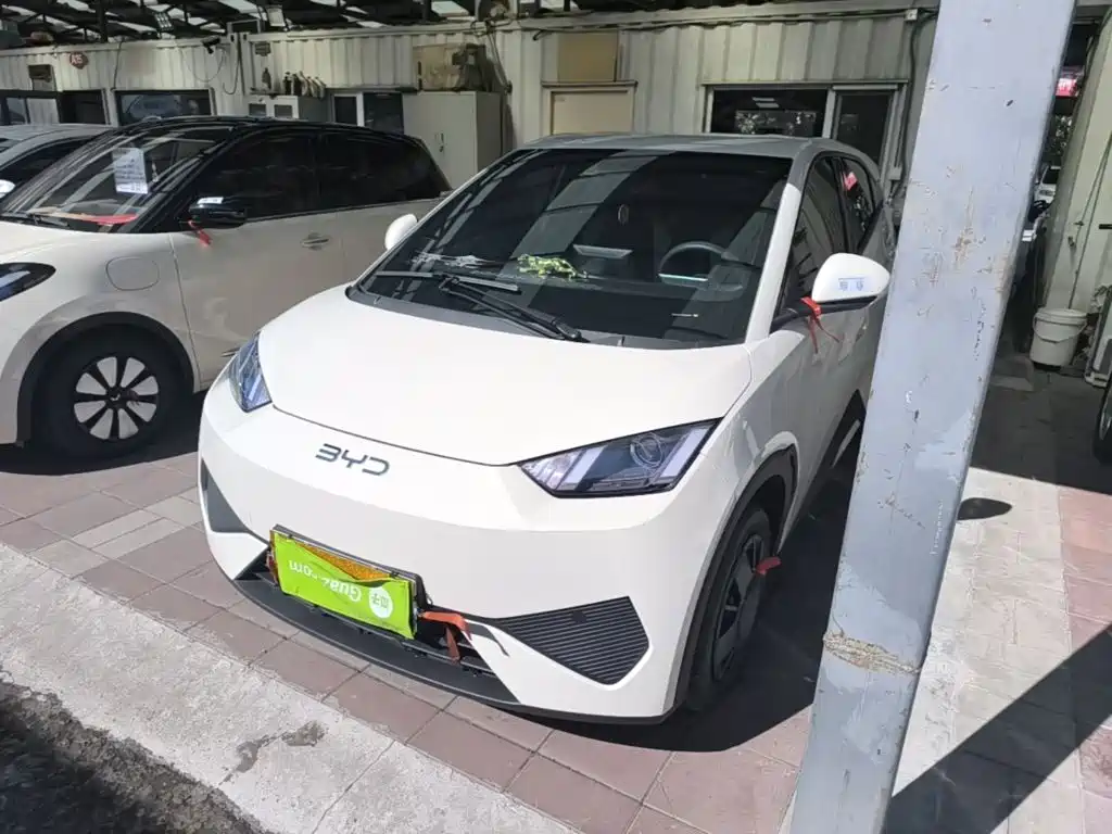BYD Seagull 2026 2025 Smart Drive Edition 305km Vitality Version