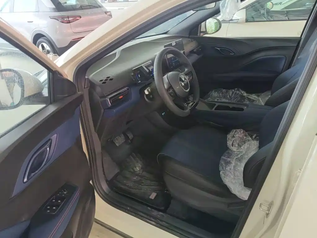 BYD Seagull 2026 2025 Smart Drive Edition 305km Vitality Version