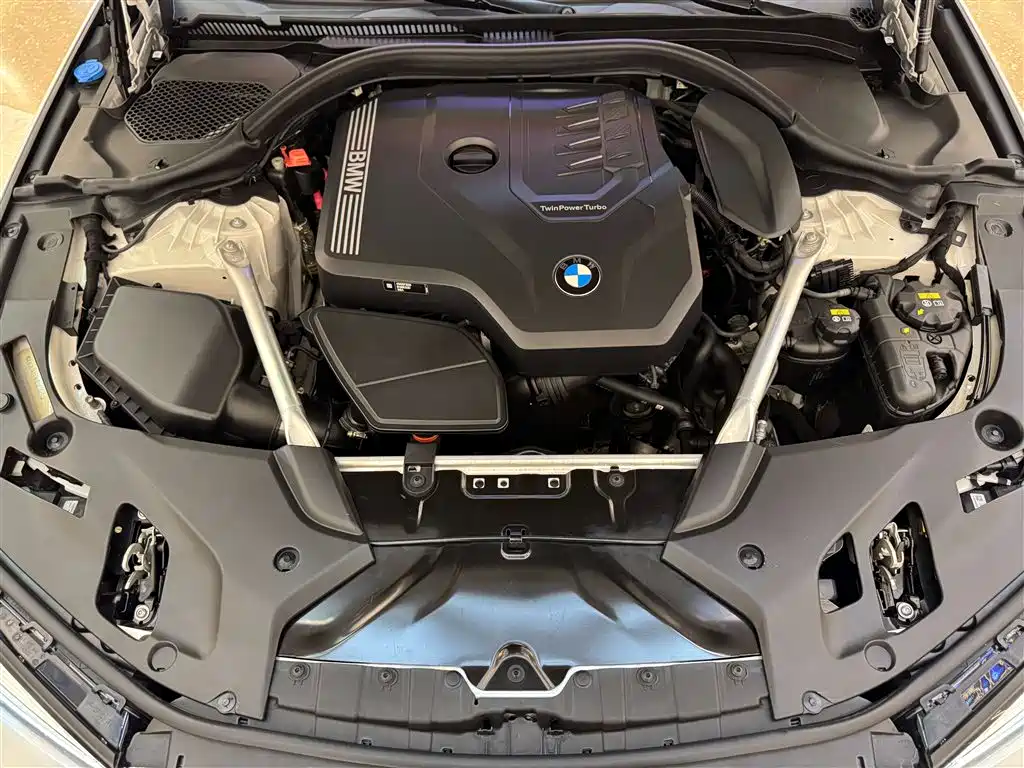 BMW 5 Series 2021 Facelift 530Li Leading Luxury Package фото 12