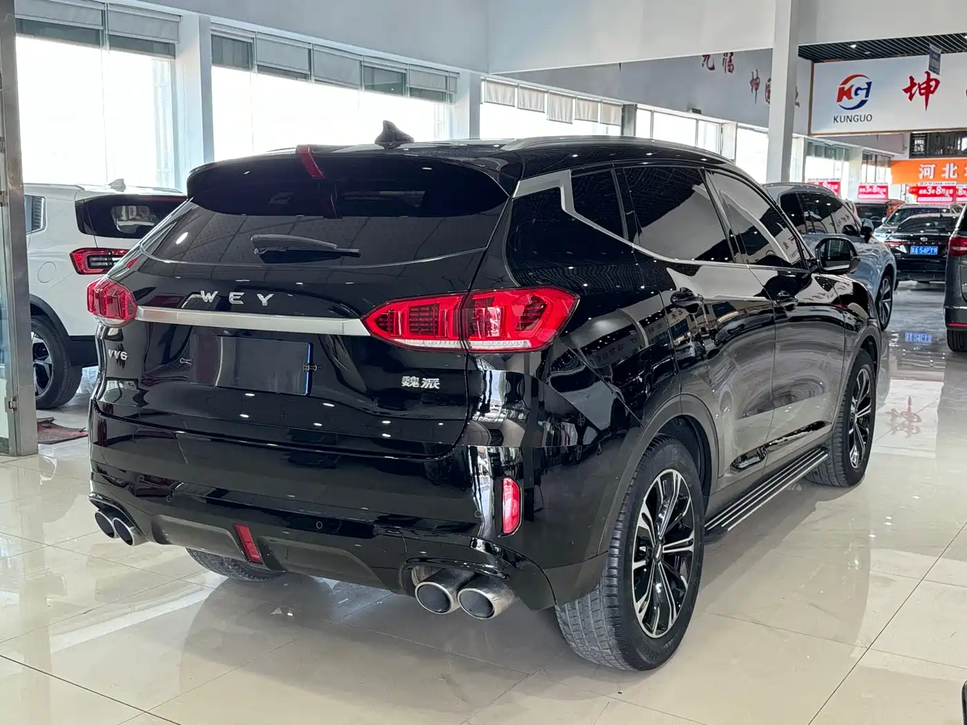 WEI PAI WEI BRAND VV6