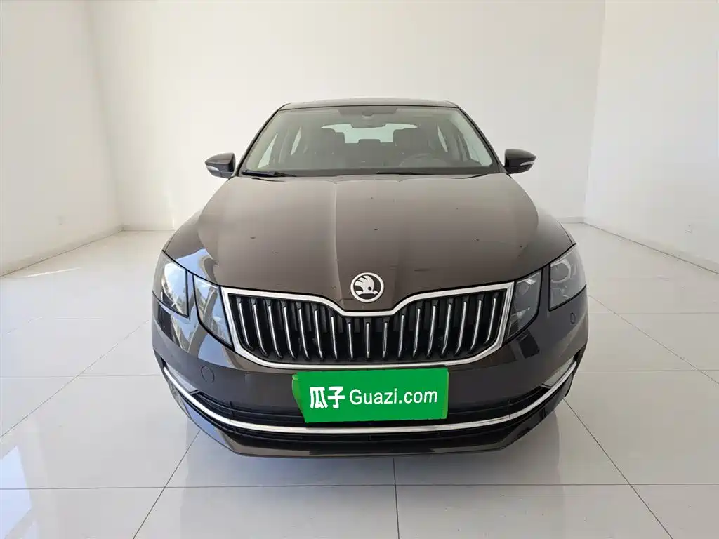 Škoda Octavia 2019 1.5L Automatic Smart Luxury Edition China V фото 3