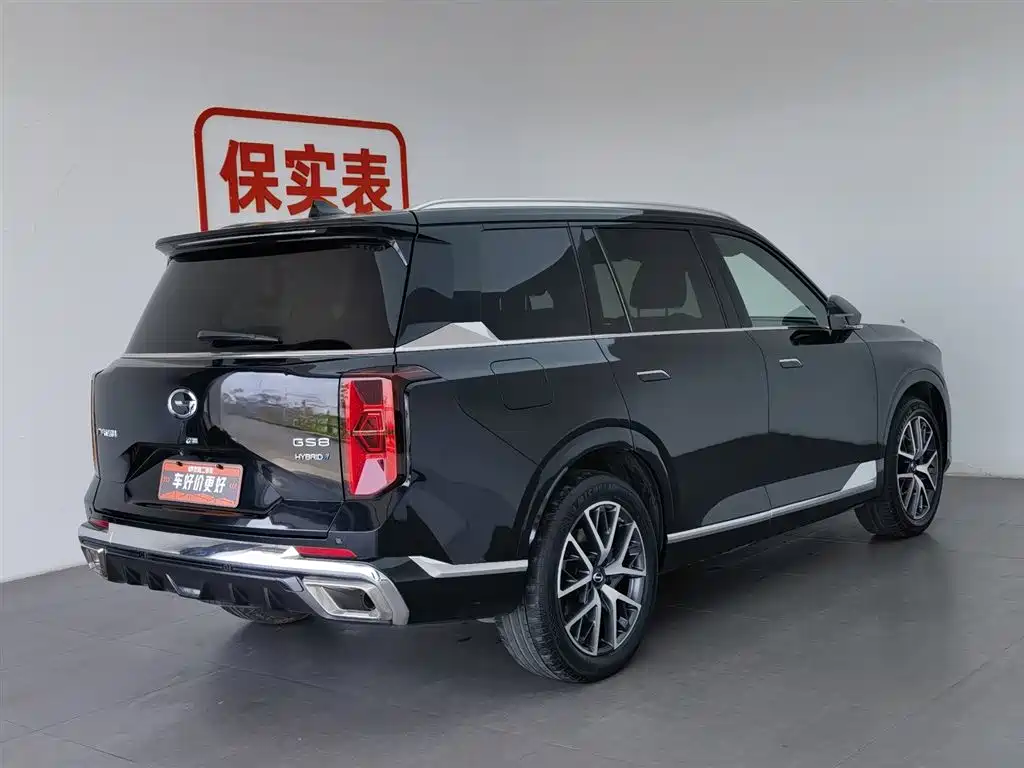 GAC Trumpchi Trumpchi GS8 2022 Dual Engine Series 2.0TM 2WD Premium Edition (7-Seater) фото 2