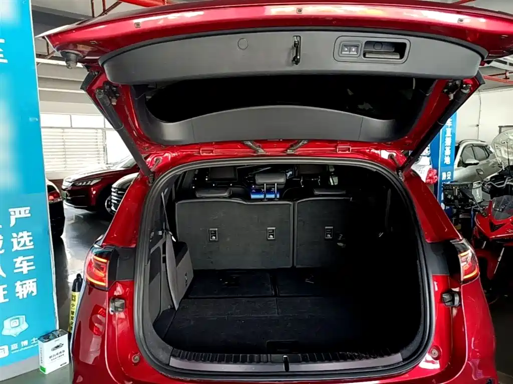 Denza X 2020 Model PHEV Flagship Edition фото 9