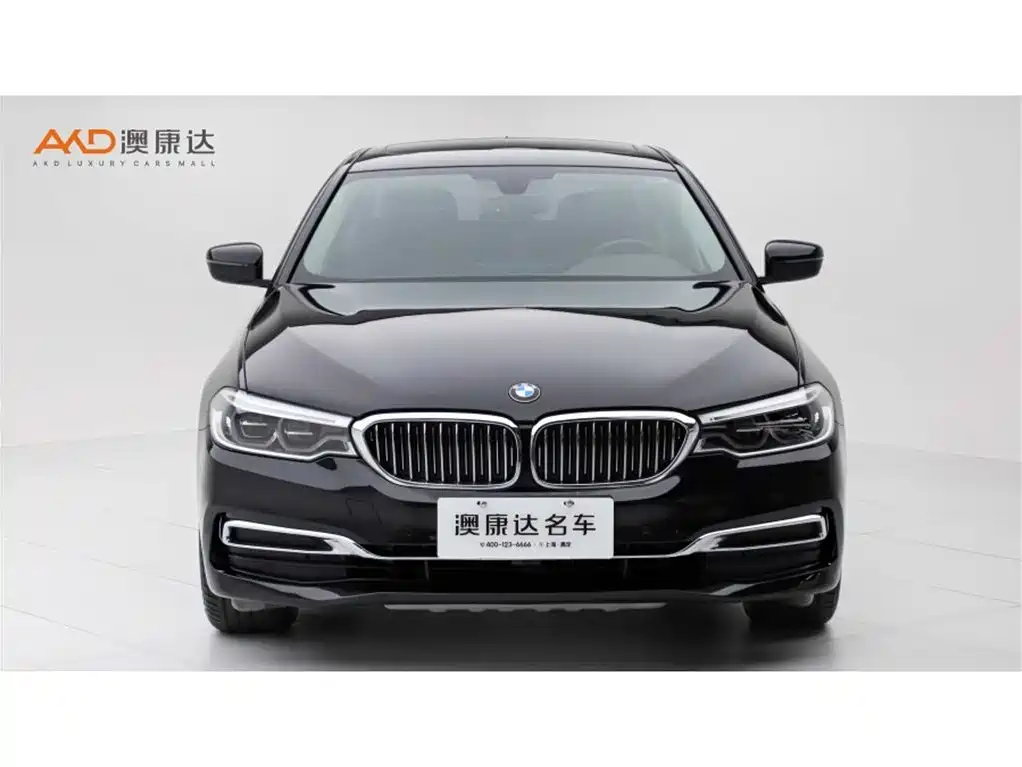 BMW 5 Series 2020 530Li xDrive Luxury Package фото 2