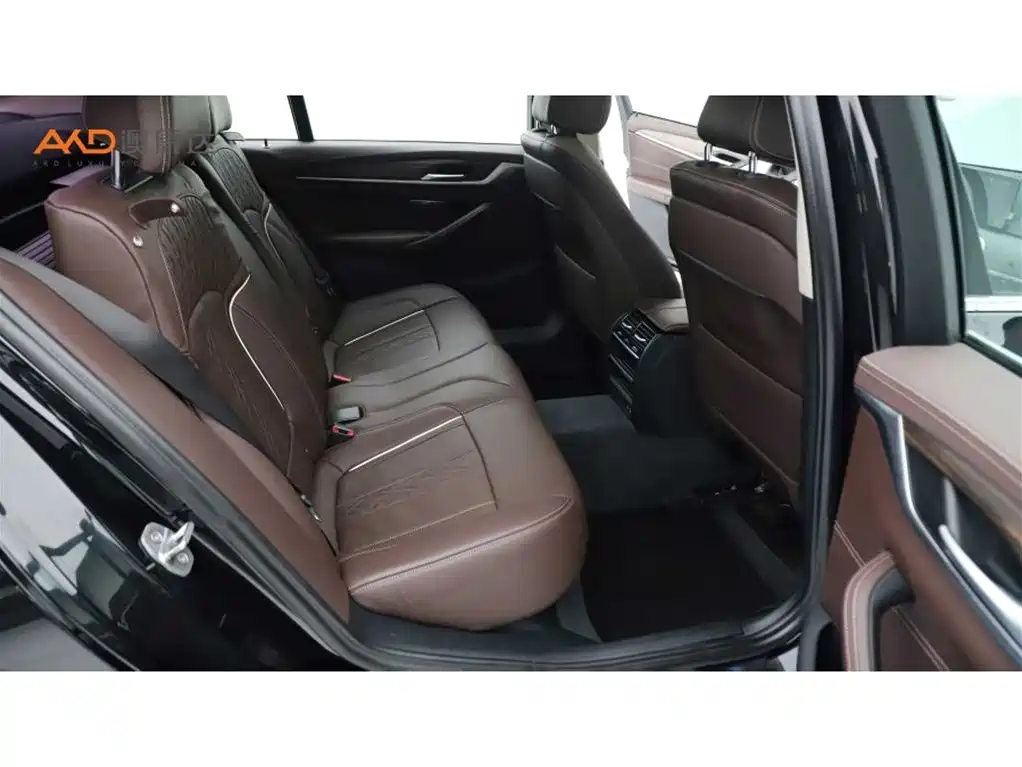BMW 5 Series 2020 530Li xDrive Luxury Package фото 8