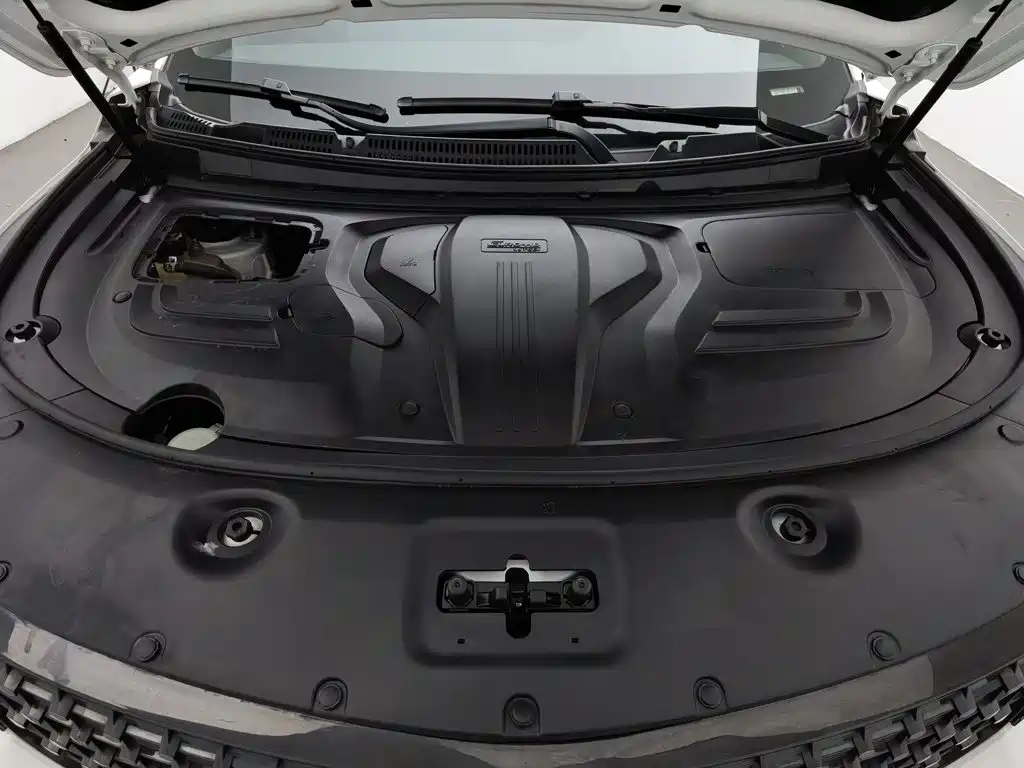 Dongfeng Fengguang Fengguang 580Pro 2019 2020 280TGDI CVT Driving Leader