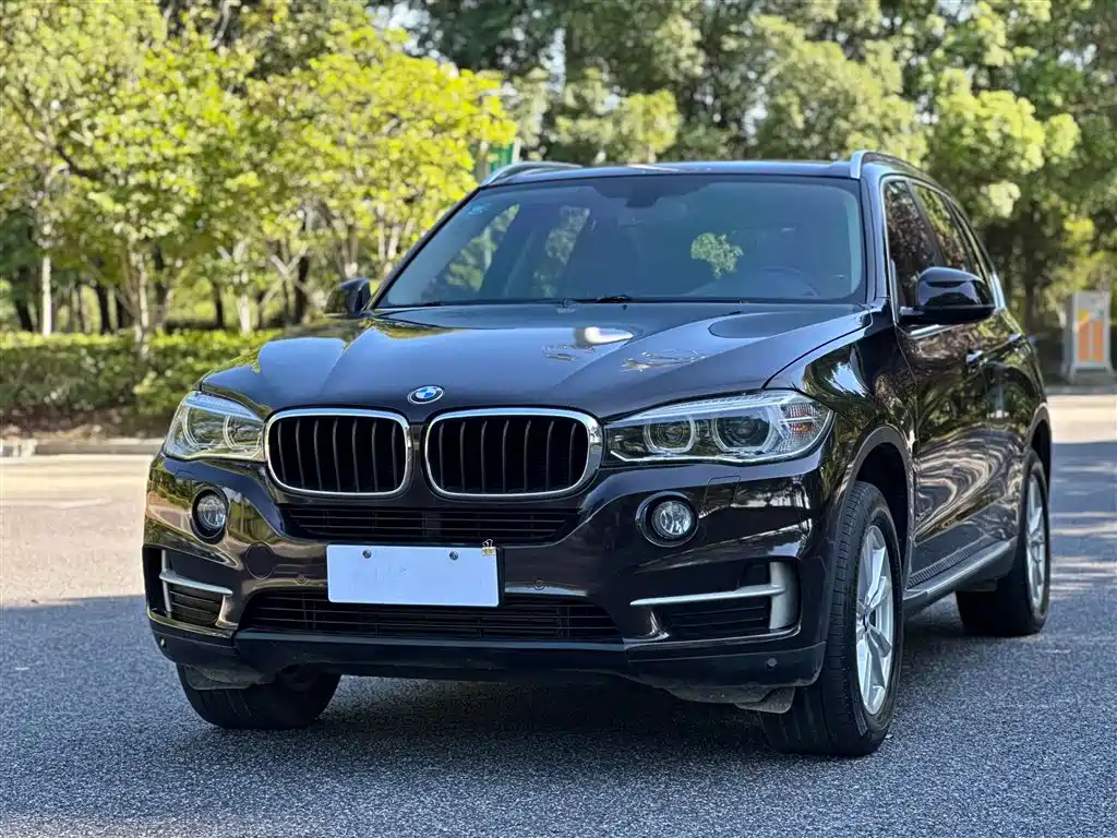 BMW X5 (Import) 2014 xDrive35i Leading