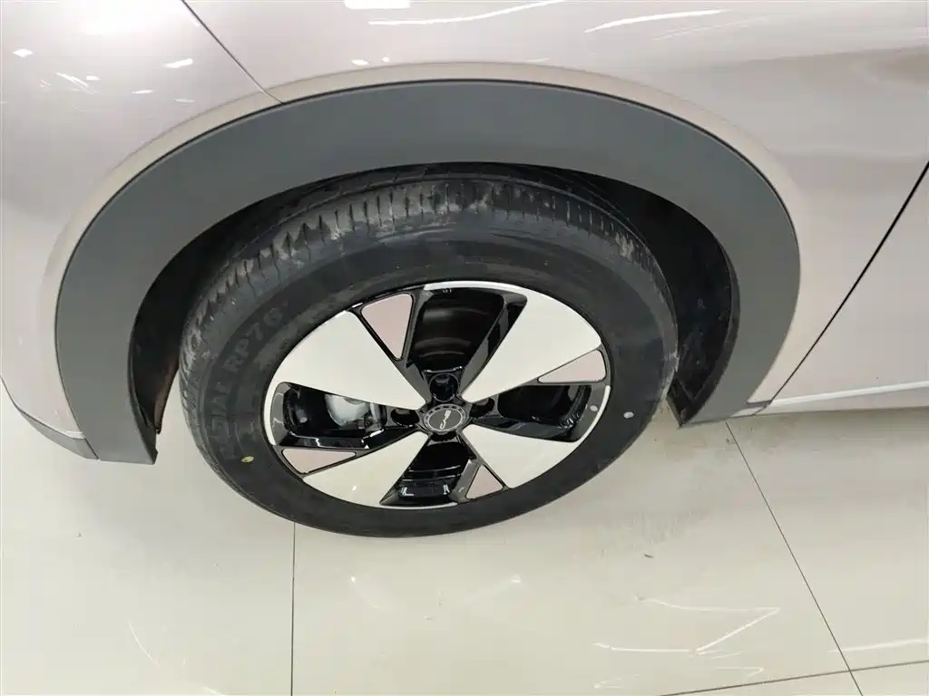 BYD Dolphin 2023 420km Fashion Edition фото 23