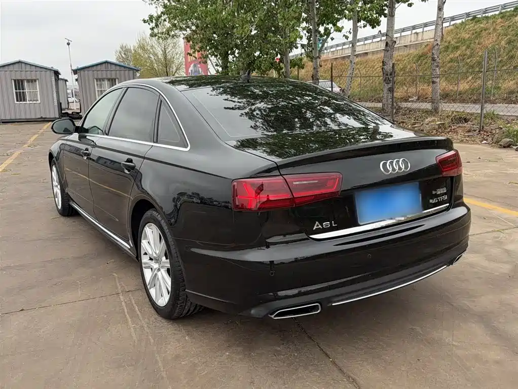 Audi A6L 2018 30th Anniversary TFSI Progressive фото 13