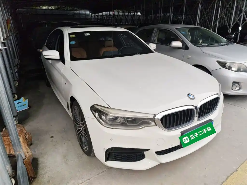 BMW 5 Series (Import) 2019 530i M Sport Package фото 4