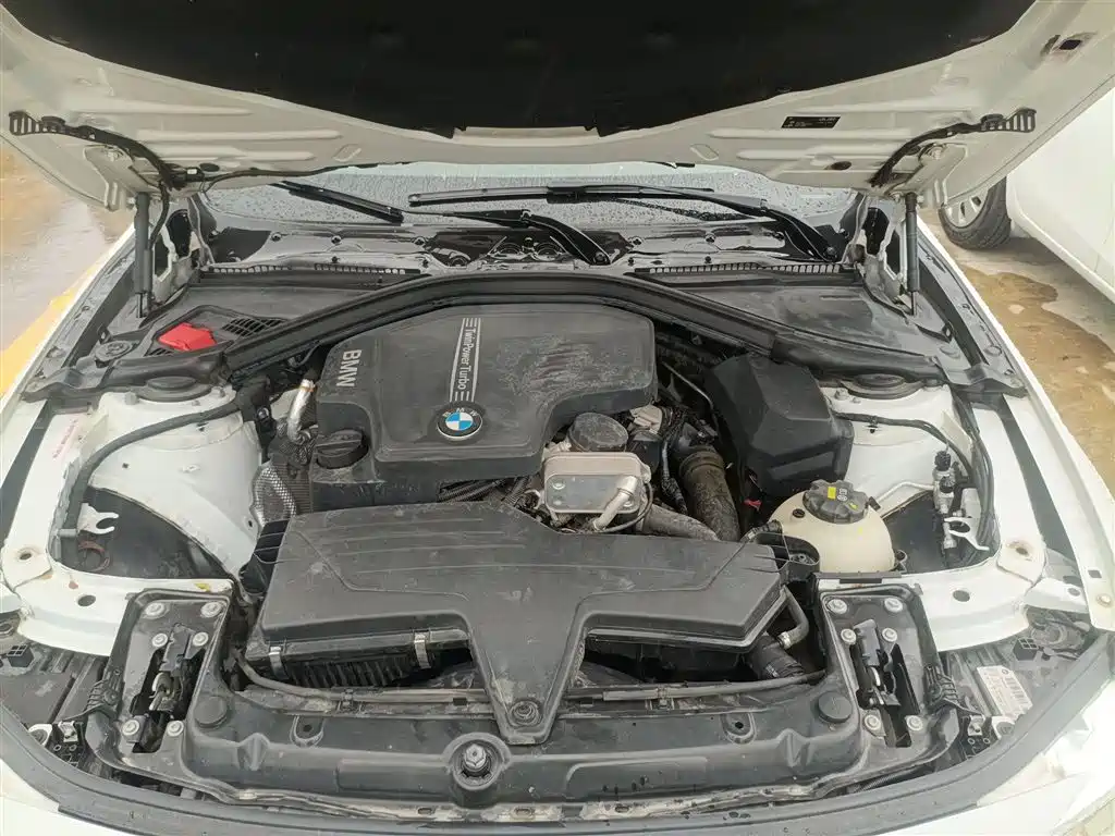 BMW 3 Series 2016 320Li Fashion Model фото 16