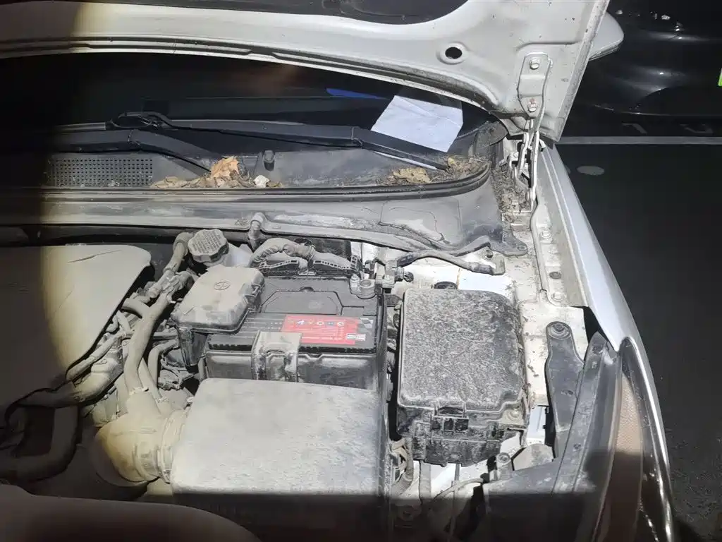 Hyundai Mistra 2014 1.8L Auto Premium DLX фото 22