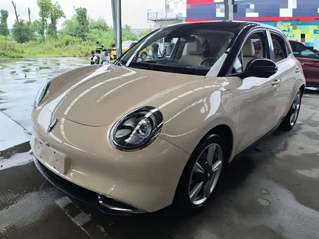  Ora Ora Good Cat 2022 Model Morandi Edition 400km Standard Range Luxury LFP