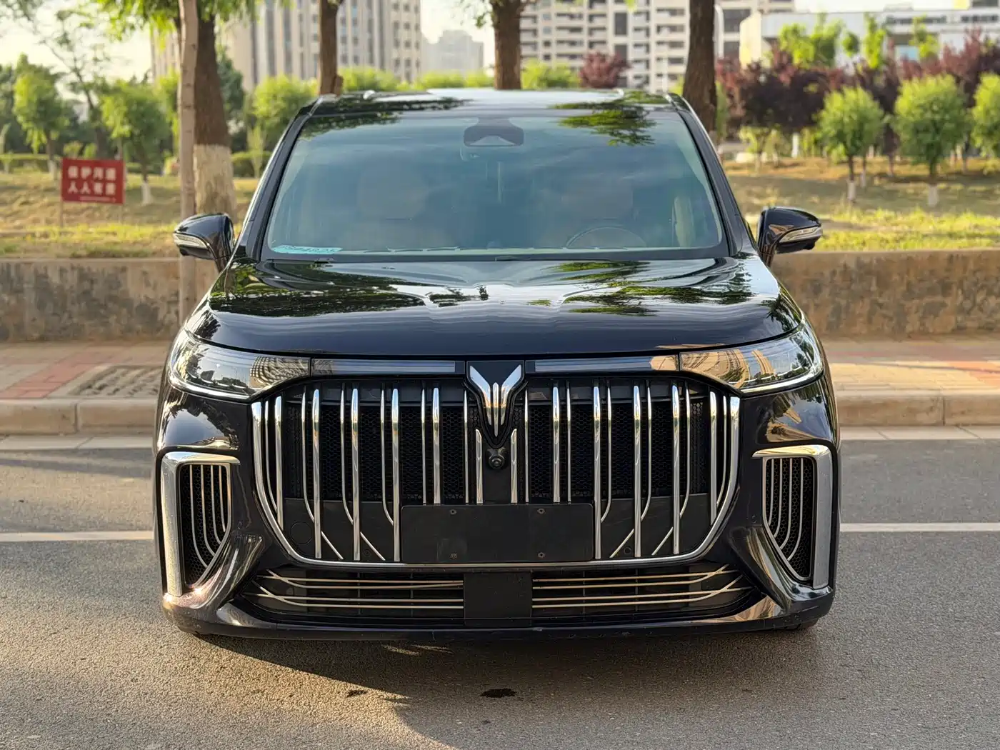 Voyah Auto Voyah Dreamer 2024 PHEV Extended Range Flagship Edition фото 2