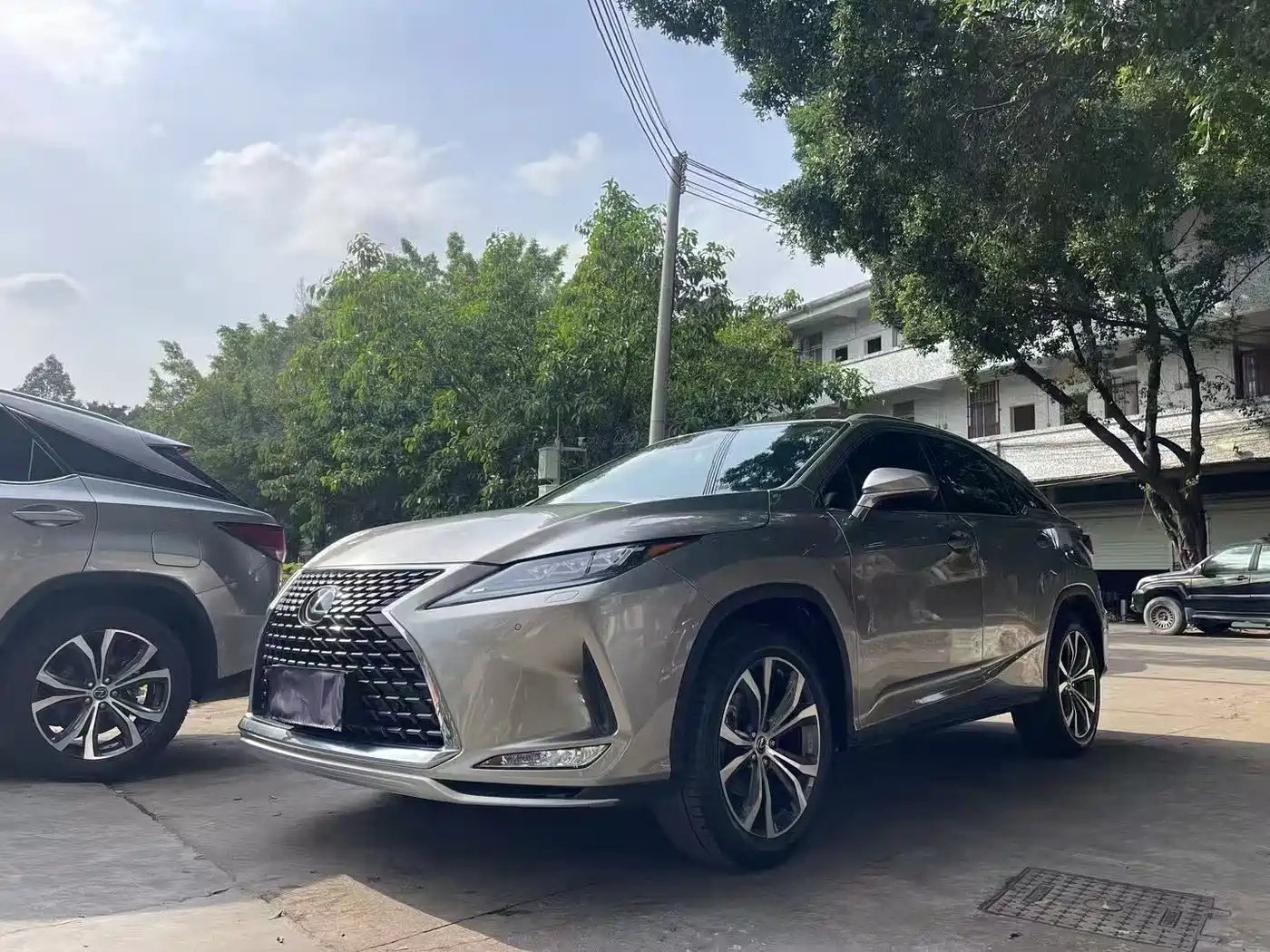 LEXUS RX
