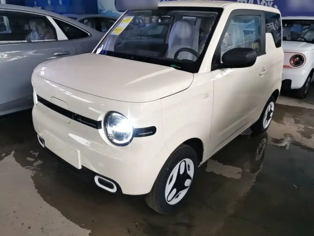  Geely Galaxy Panda 2025 Panda mini 210km Vitality Bear