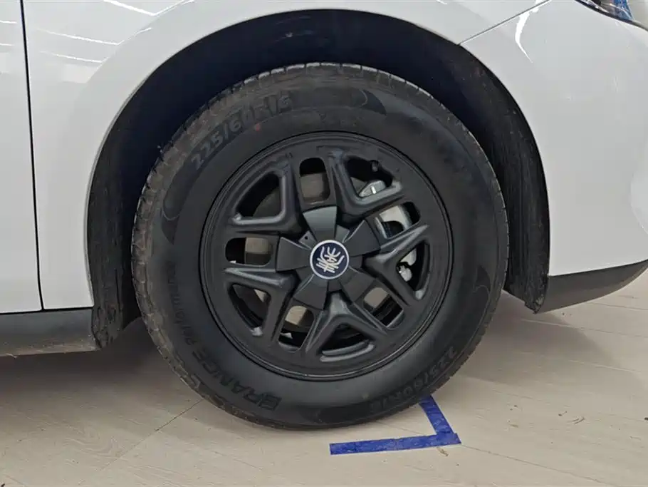 BYD Qin PLUS 2025 DM-i Smart Drive 55KM Leader фото 6