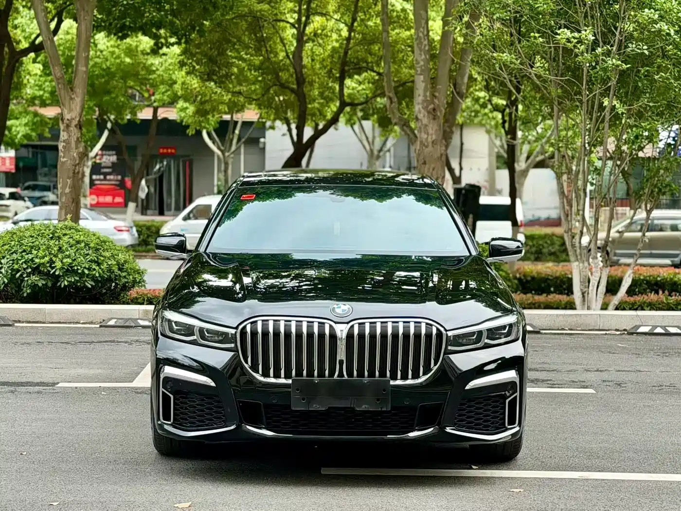 BMW 7 Series 2019 730Li M Sport Package фото 2