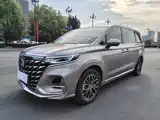 Фото 1 - Roewe iMAX8 EV