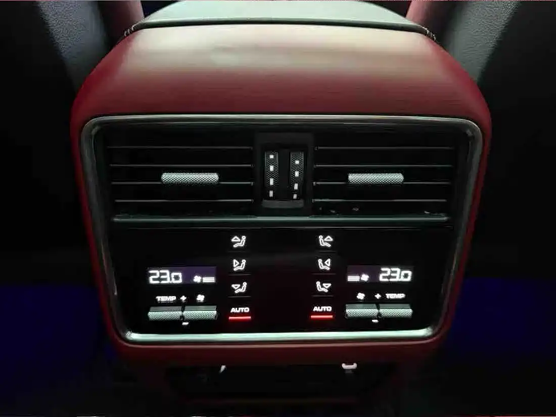Porsche Cayenne 2022 Cayenne 3.0T Platinum Edition фото 9