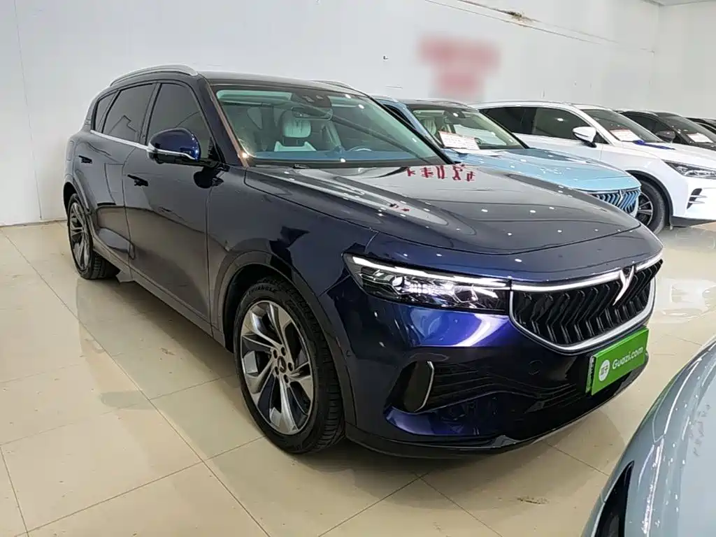 Voyah Free 2021 2021 4WD Extended Range Launch Edition Exclusive Luxury Package
