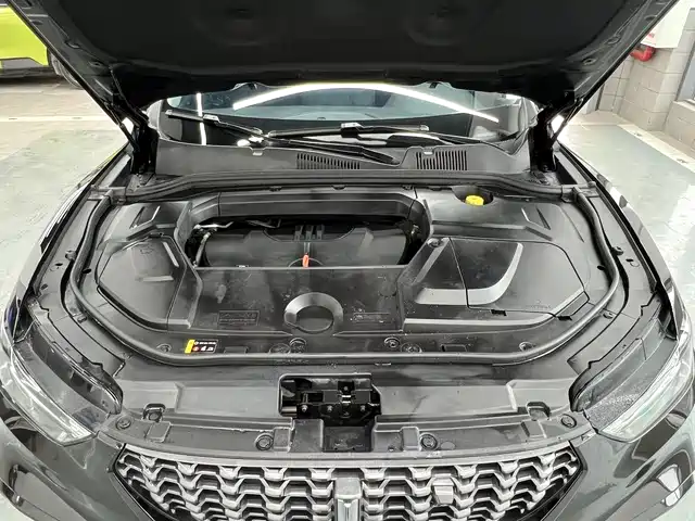 WEI PAI WEI BRAND VV5