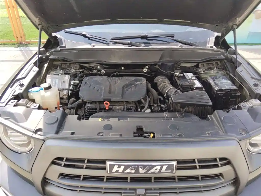 Haval Big Dog 2022 Model 2.0T DCT AWD Howling Celestial Dog Hunting Edition фото 11